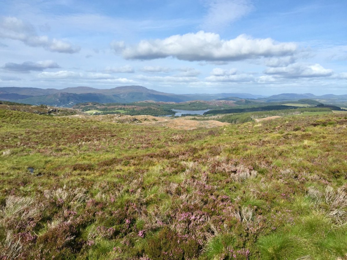 Heather in bloom across a moor, a loch below, and blue mountain ranges to the horizon.
